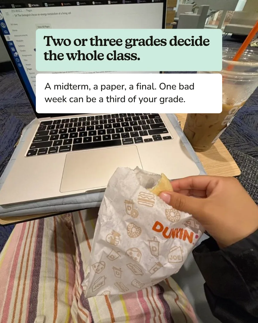 Slide 4 of 6